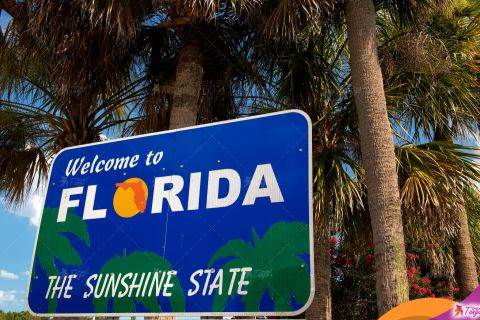 Love is... Florida!