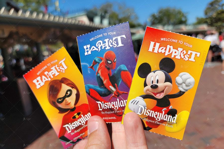 Квитки в Діснейленд!