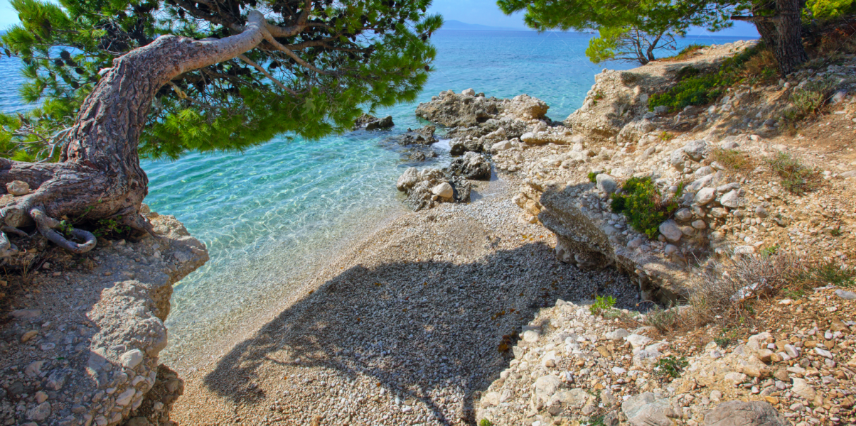 Макарська  Зображення-3