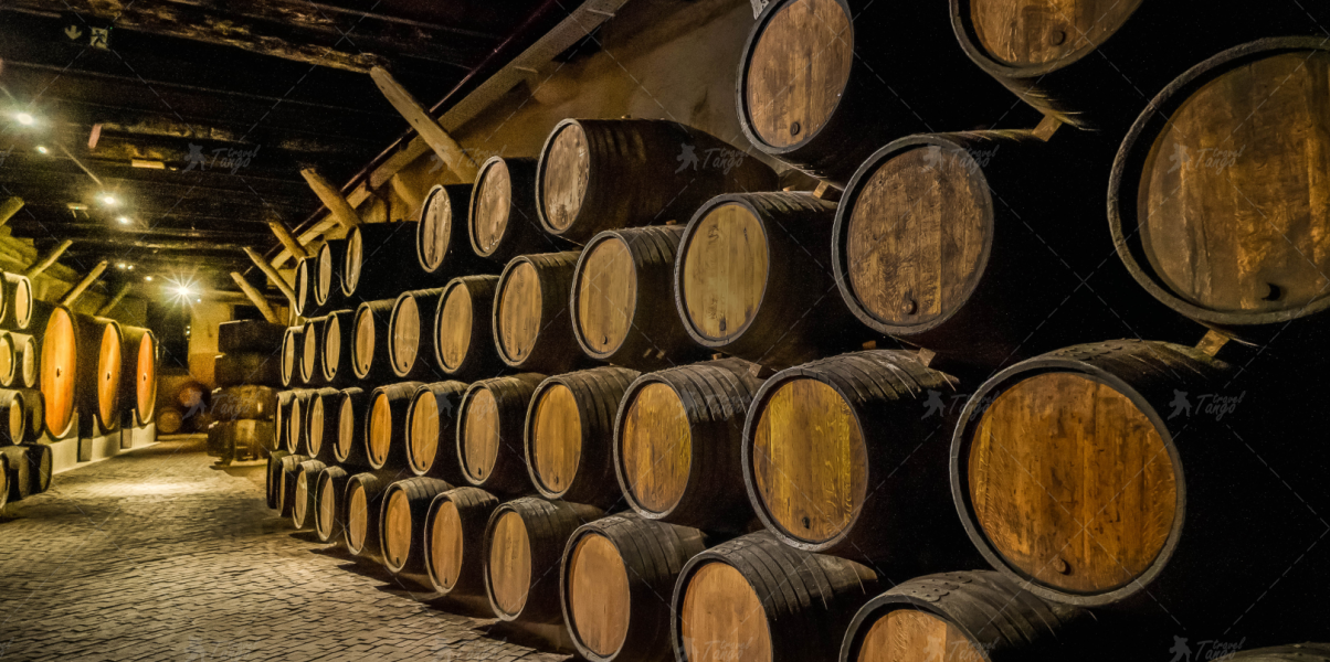 Дегустація 4 видів вина з гуляшем Зображення-2