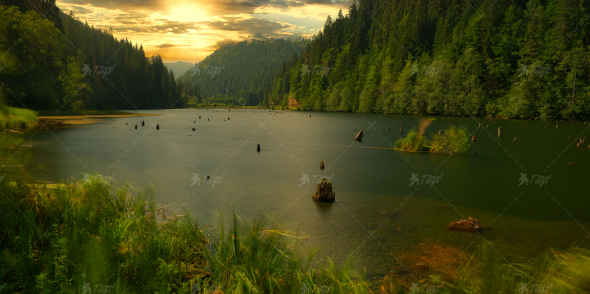 Лаку-Рошу Зображення-3