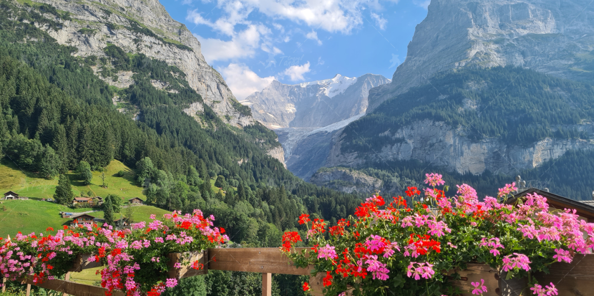 Гріндельвальд Зображення-1