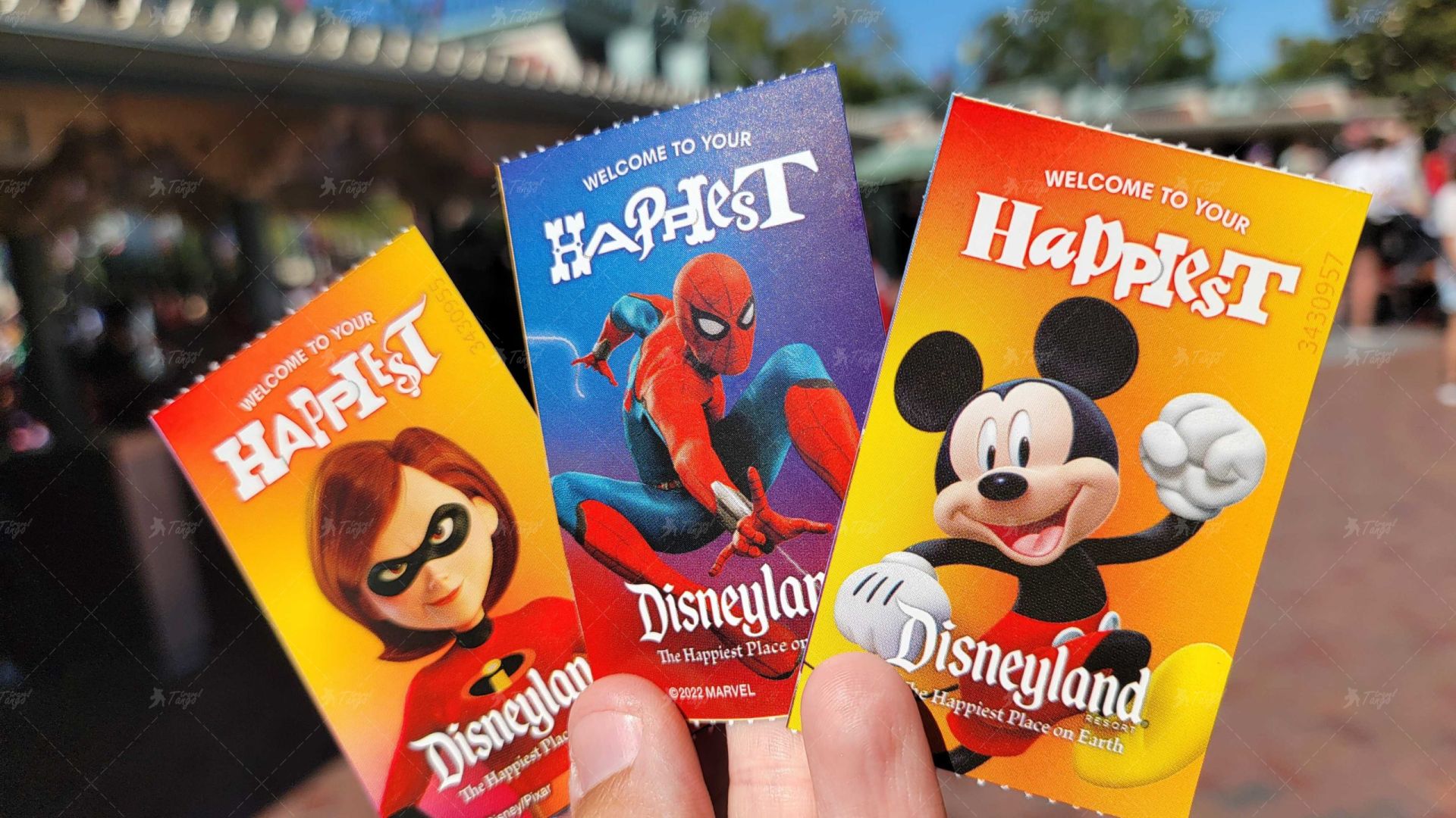 Квитки в Діснейленд!